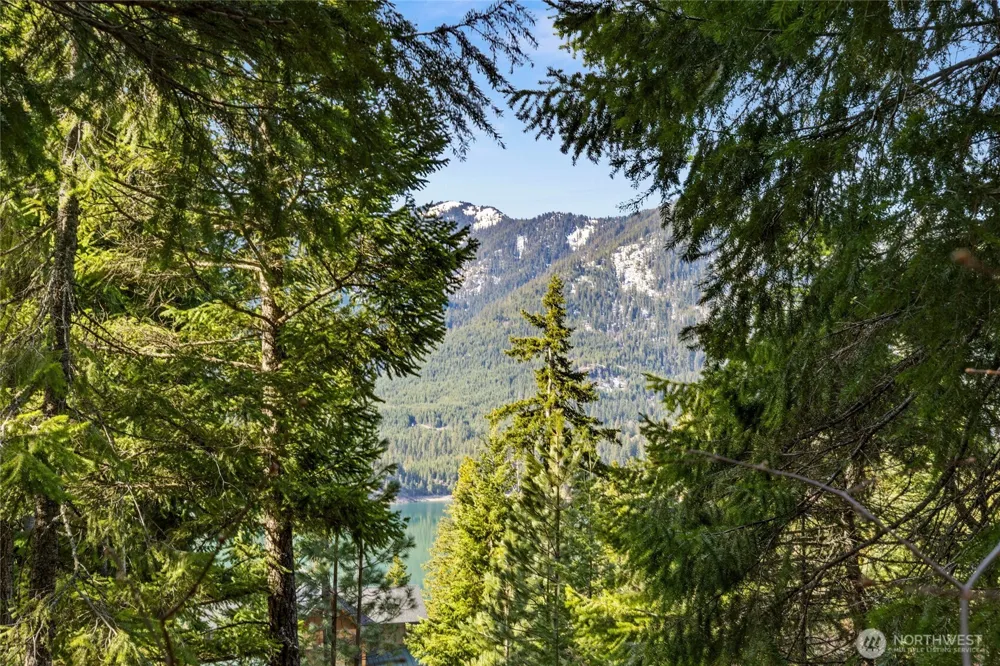 0 Lot 9 Night Sky Drive Ronald, WA 98940