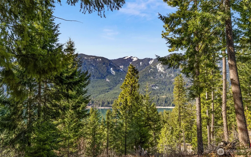 0 Lot 9 Night Sky Drive Ronald, WA 98940
