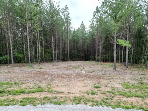297 Ashwood Dr