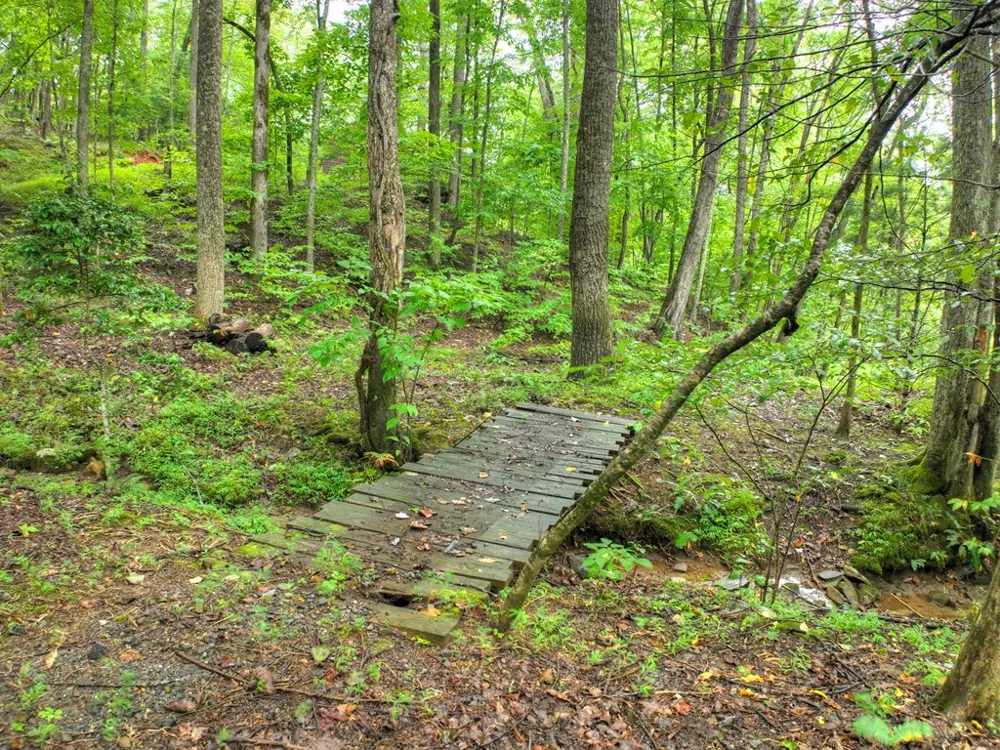 430 Chestnut Ridge Blue Ridge, GA 30513