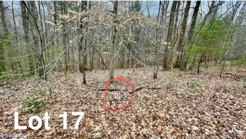 LOT 17 Woods Haven Lane