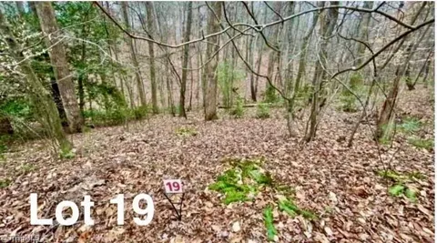 LOT 19 Woods Haven Lane