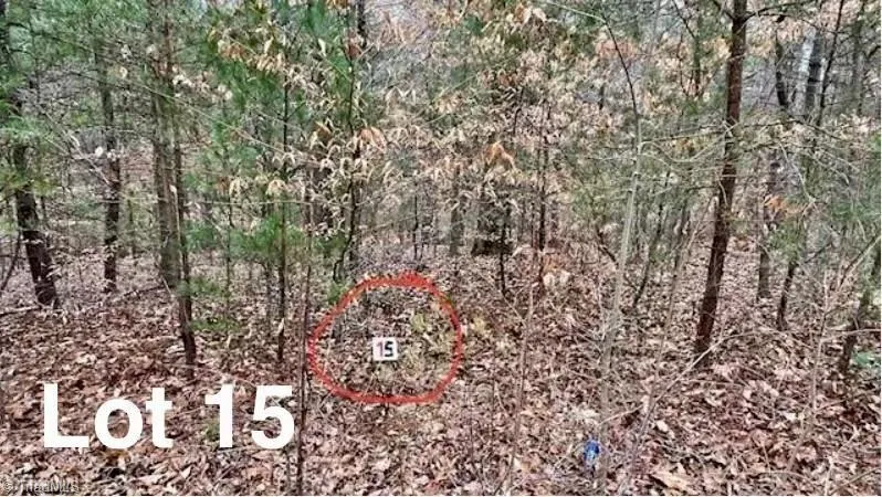 LOT 15 Woods Haven Lane Stuart, VA 24171