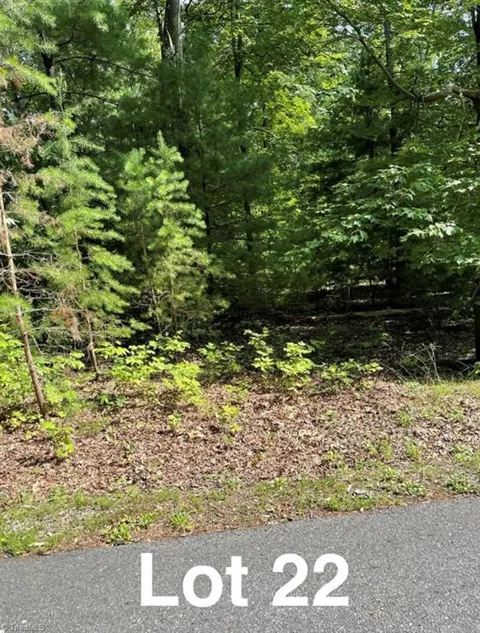Lot 22 Woods Haven Lane
