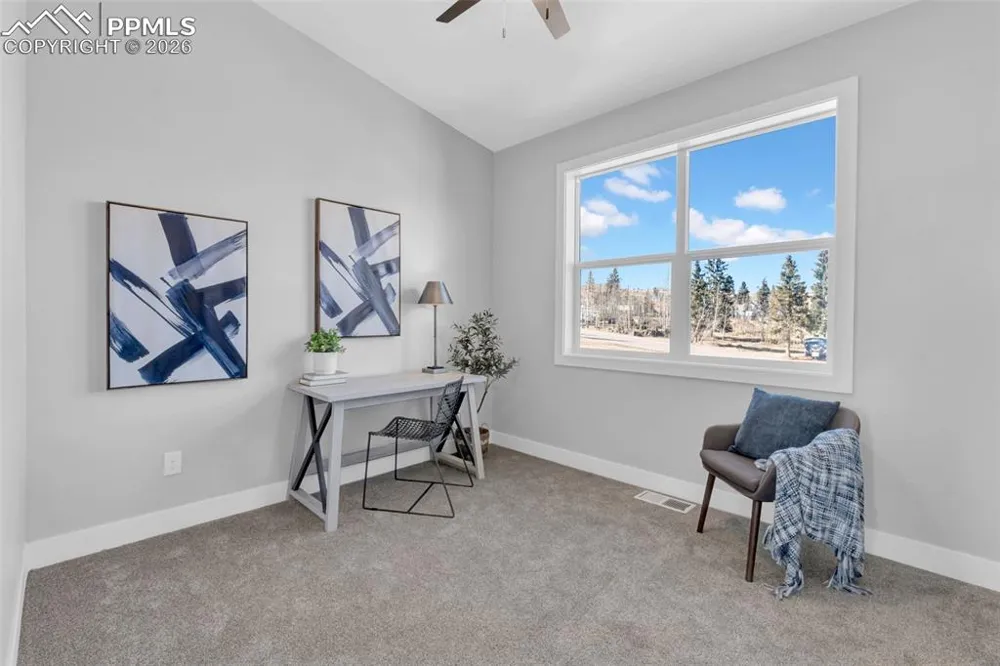 101 W Warren Avenue #Unit 4 Cripple Creek, CO 80813