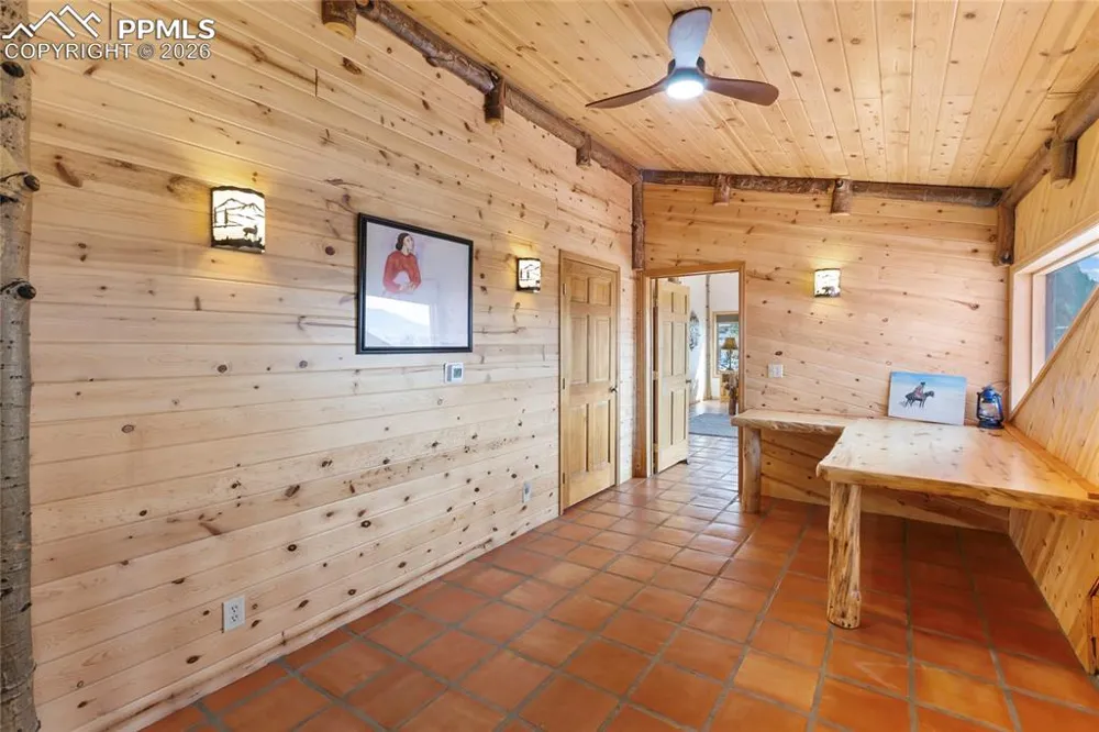 790 Tiara Road Lake George, CO 80827