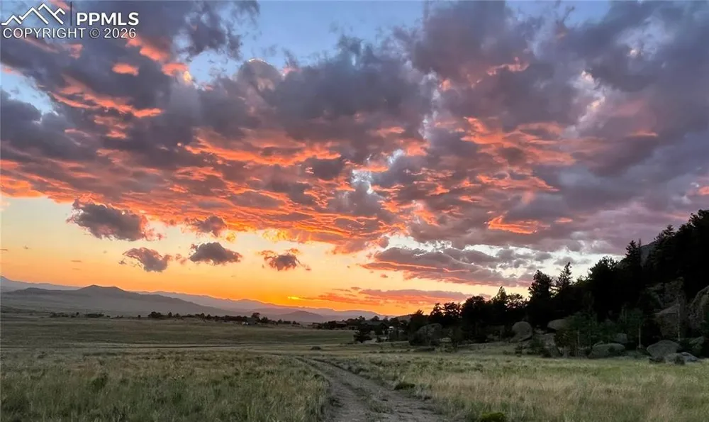 790 Tiara Road Lake George, CO 80827