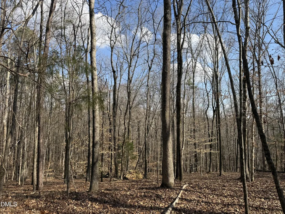 0 Birch Creek Farm Lane Franklinton, NC 27525