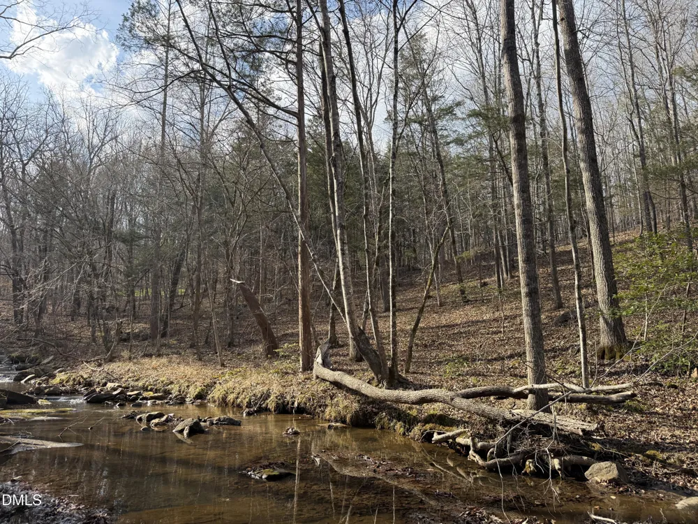 0 Birch Creek Farm Lane Franklinton, NC 27525