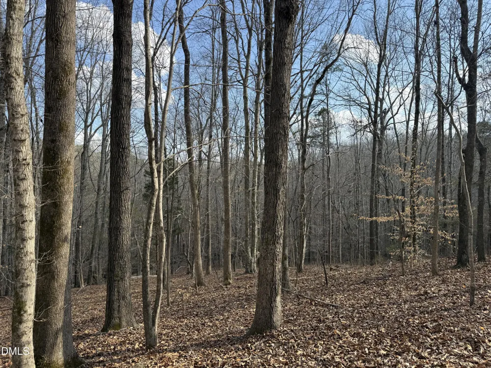 0 Birch Creek Farm Lane Franklinton, NC 27525