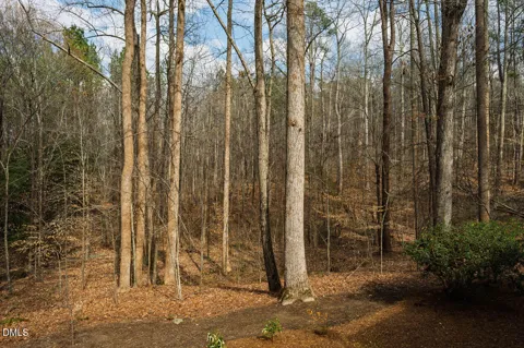 Lot 1 Marvin Edwards Lane