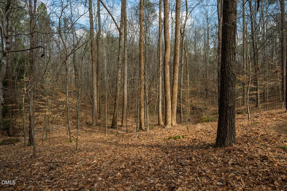 Lot 1 Marvin Edwards Lane Chapel Hill, NC 27517