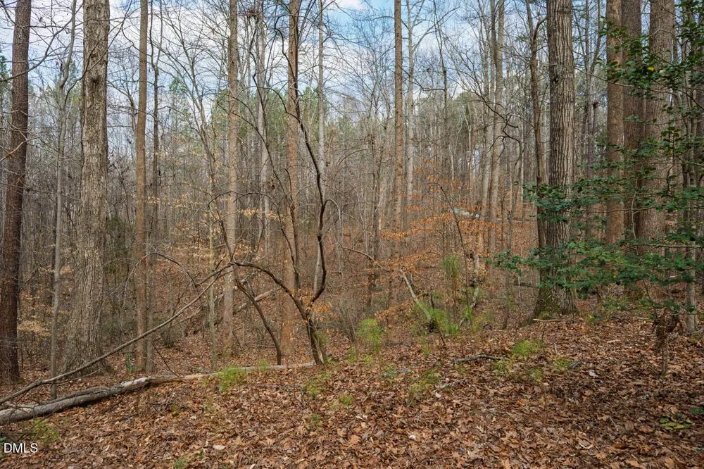 Lot 1 Marvin Edwards Lane Chapel Hill, NC 27517
