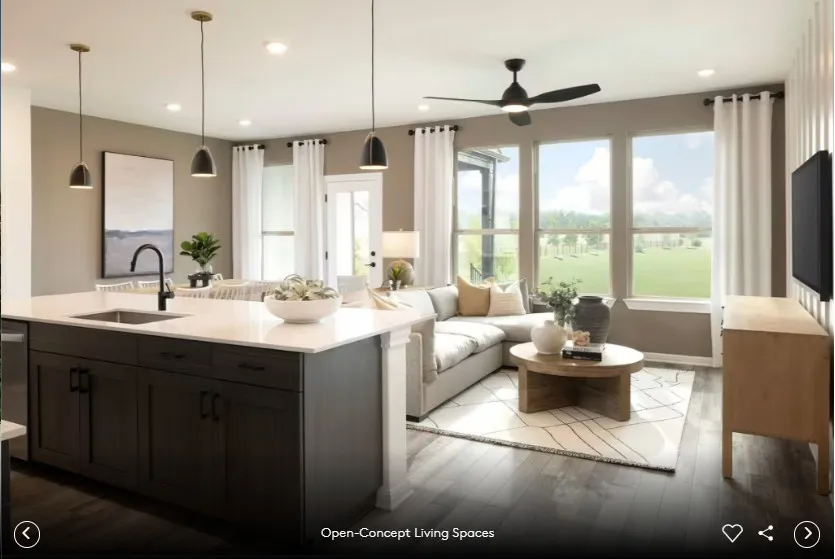 1955 Settlers Glen Drive #4602 Round Rock, TX 78665