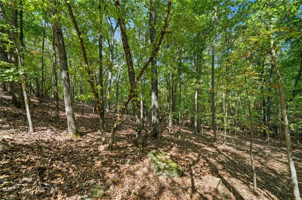 265 Red Cloud Drive Waleska, GA 30183