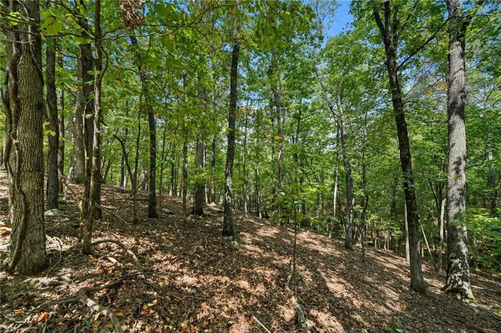 265 Red Cloud Drive Waleska, GA 30183