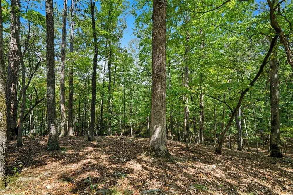 265 Red Cloud Drive Waleska, GA 30183