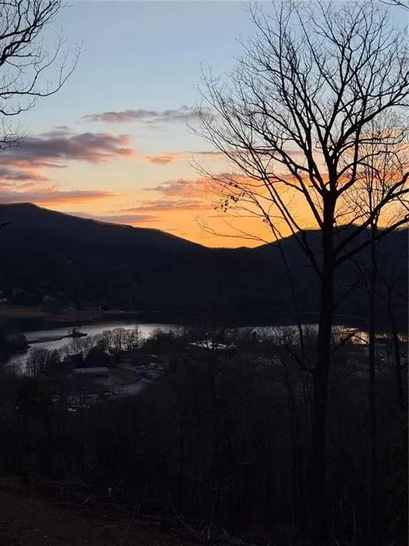 LOT 3 Whiskey Mountain Estates Hiawassee, GA 30546