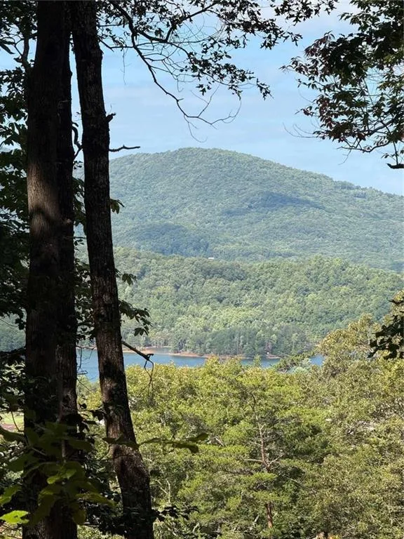 LOT 3 Whiskey Mountain Estates Hiawassee, GA 30546