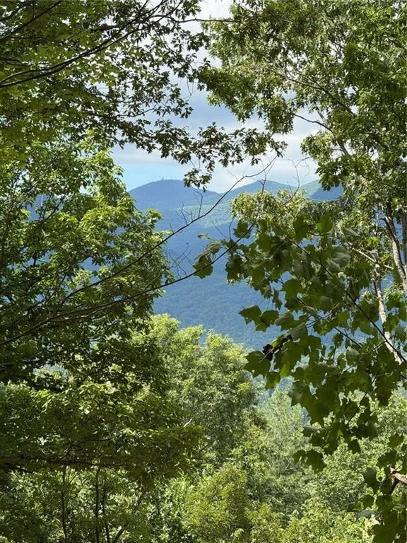 LOT 3 Whiskey Mountain Estates Hiawassee, GA 30546