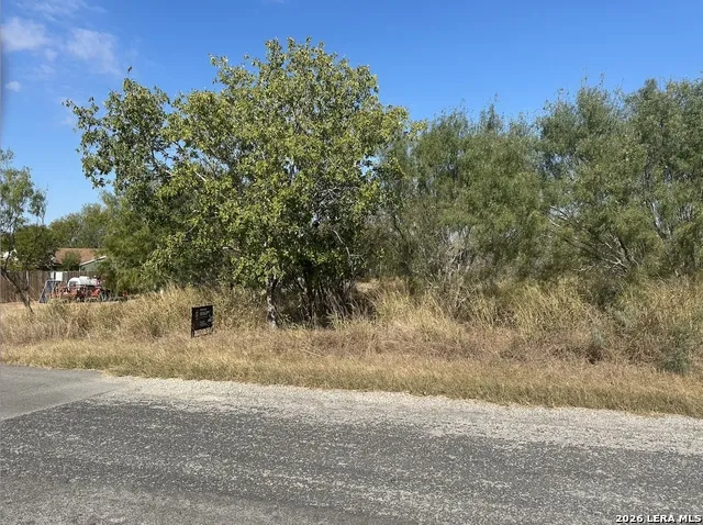 TBD Olive Jourdanton, TX 78026
