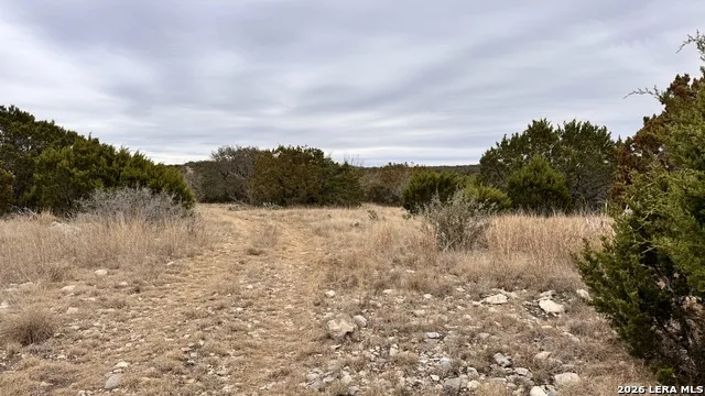 SD 16010 SD Rocksprings, TX 78880