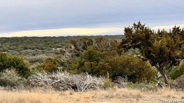 SD 16010 SD Rocksprings, TX 78880