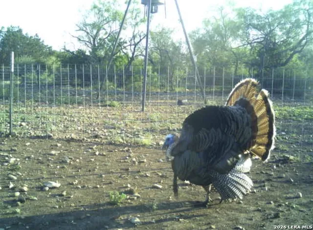 SD 16010 SD Rocksprings, TX 78880
