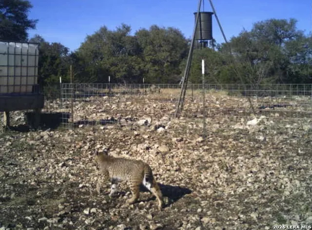 SD 16010 SD Rocksprings, TX 78880