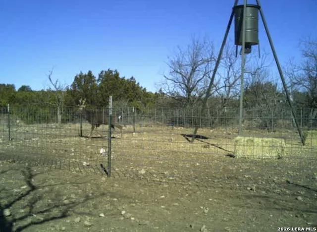 SD 16010 SD Rocksprings, TX 78880