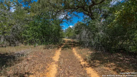 TBD County Road 434