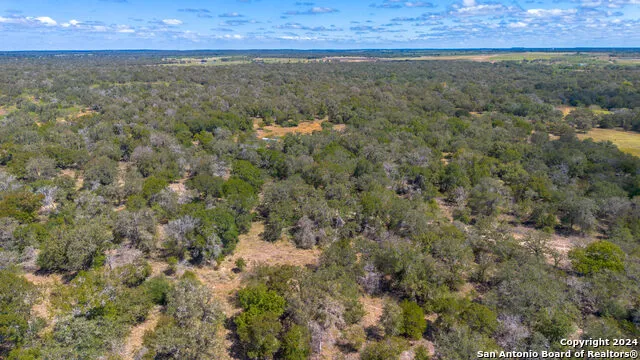 TBD County Road 434 Stockdale, TX 78155