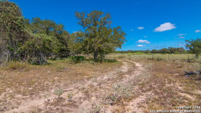 TBD County Road 434 Stockdale, TX 78155