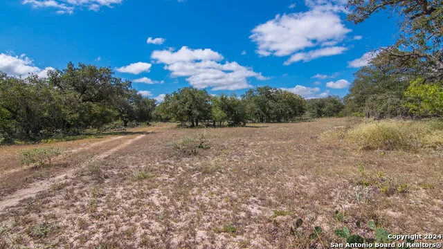 TBD County Road 434 Stockdale, TX 78155