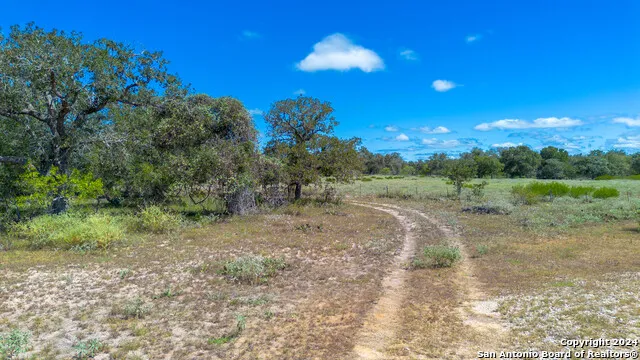 TBD County Road 434 Stockdale, TX 78155