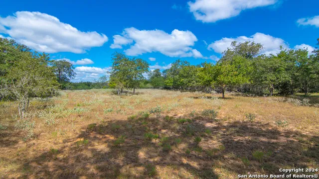 TBD County Road 434 Stockdale, TX 78155