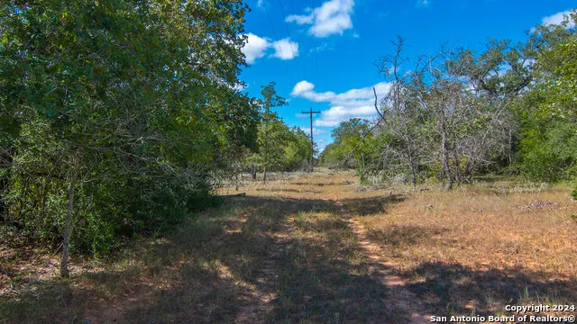 TBD County Road 434 Stockdale, TX 78155