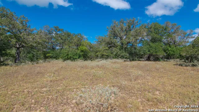 TBD County Road 434 Stockdale, TX 78155