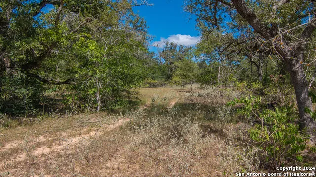 TBD County Road 434 Stockdale, TX 78155