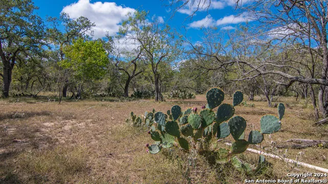TBD County Road 434 Stockdale, TX 78155