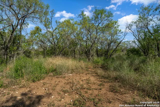 14350 Interstate 35 Von Ormy, TX 78073