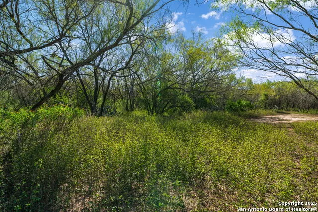 14350 Interstate 35 Von Ormy, TX 78073
