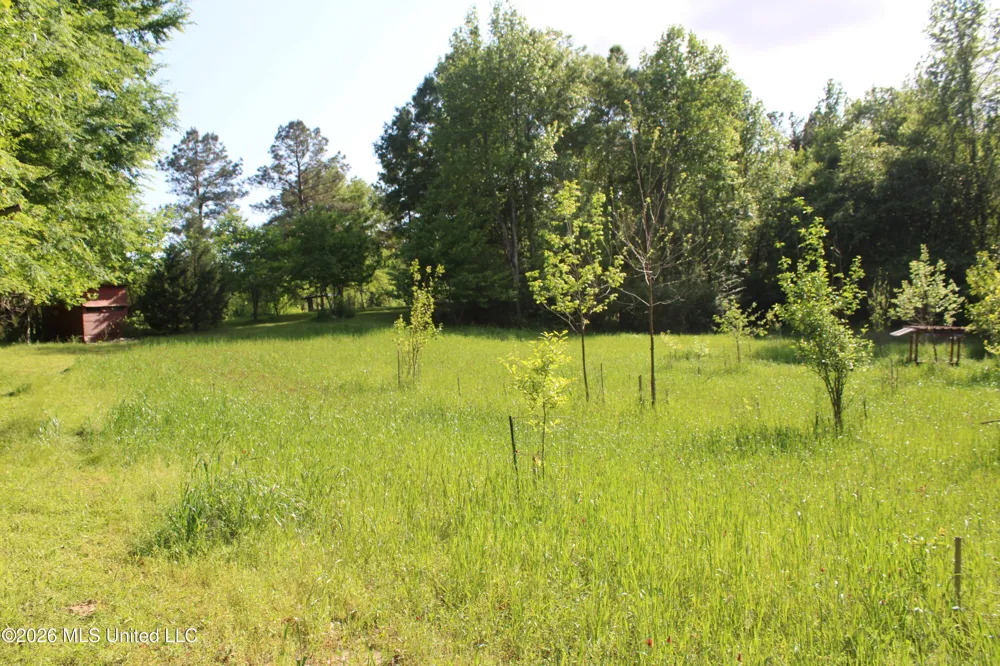 3085 Beauregard Road Wesson, MS 39191