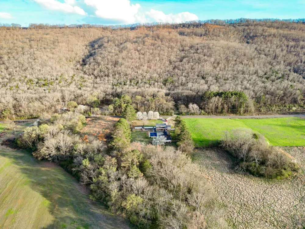 4667 County Road 91 Stevenson, AL 35772