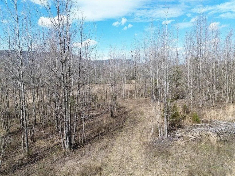 Francis Springs Road Whitwell, TN 37397