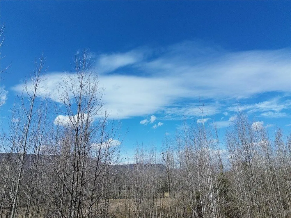 Francis Springs Road Whitwell, TN 37397