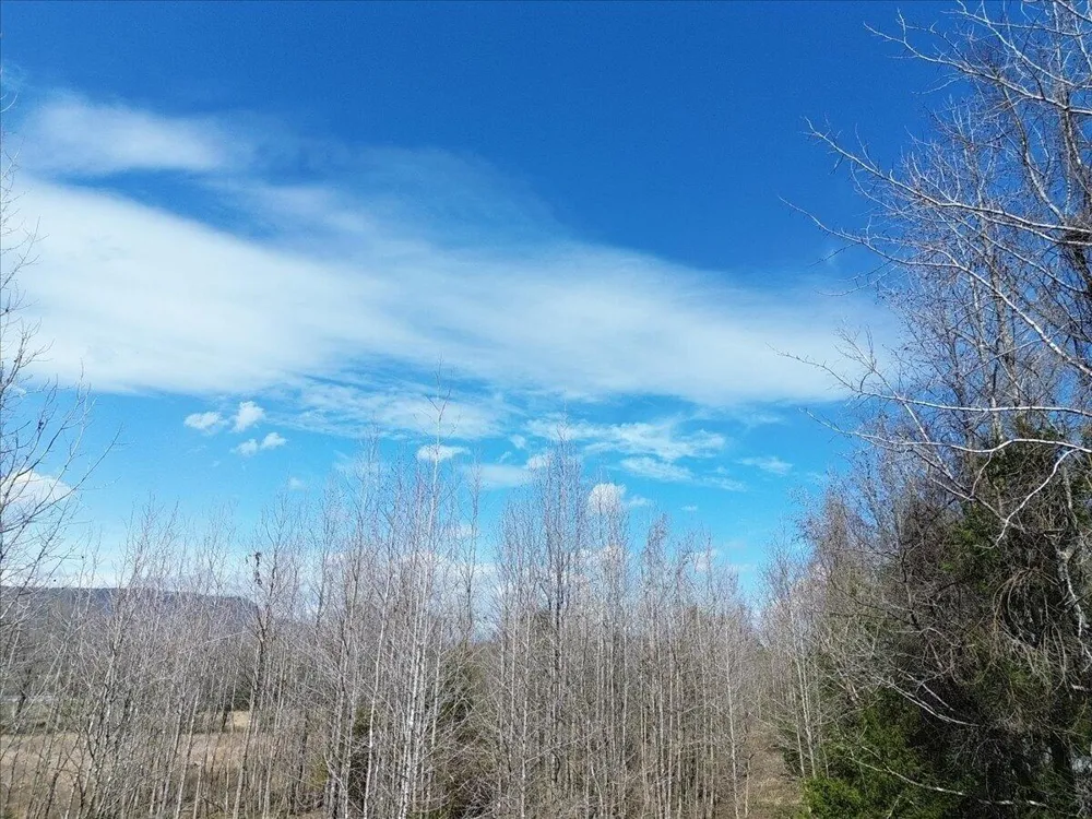 Francis Springs Road Whitwell, TN 37397