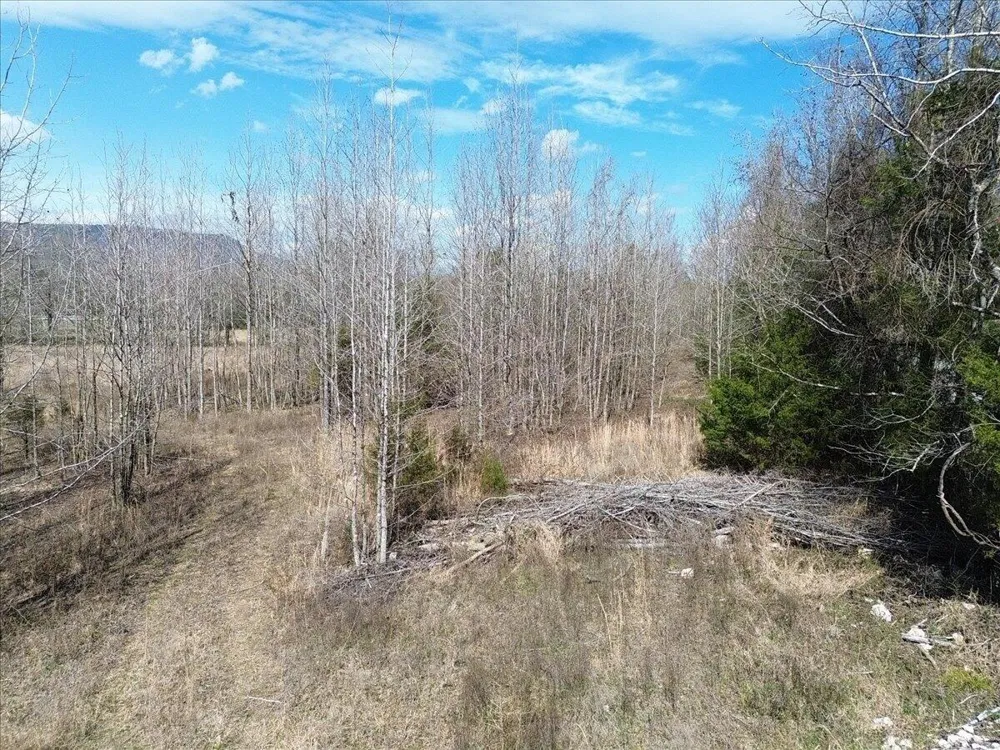 Francis Springs Road Whitwell, TN 37397