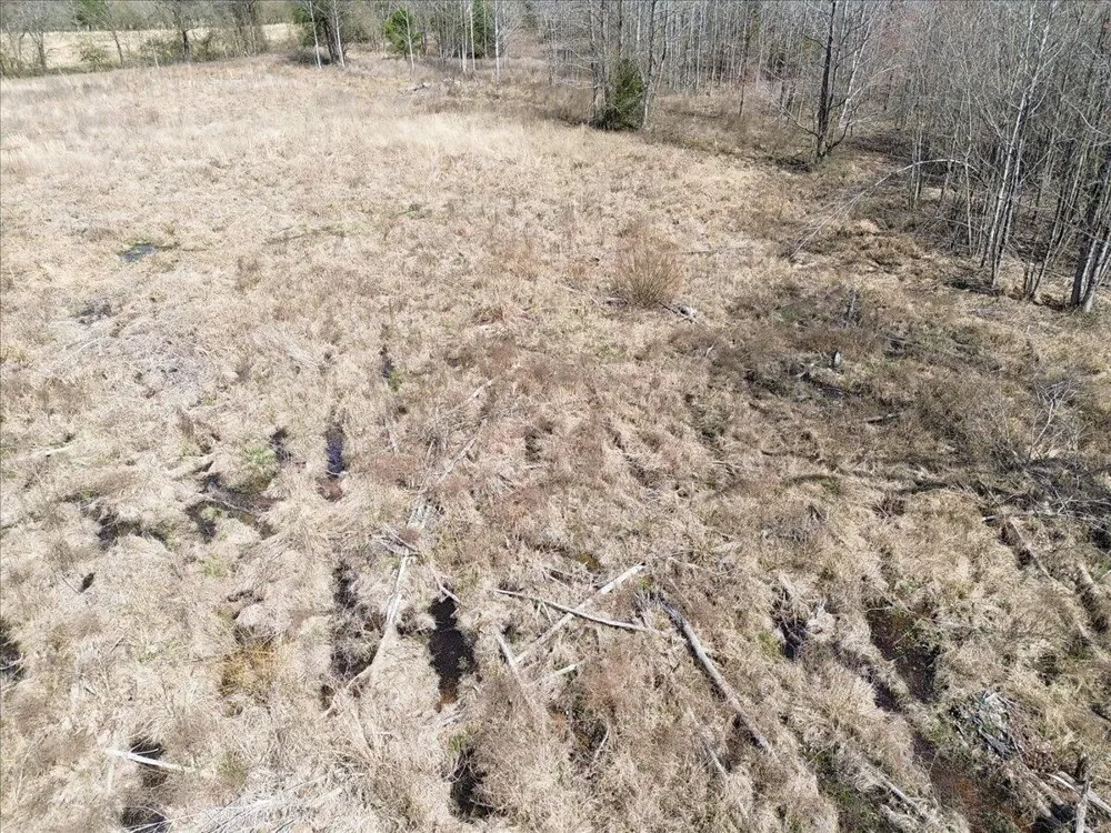 Francis Springs Road Whitwell, TN 37397