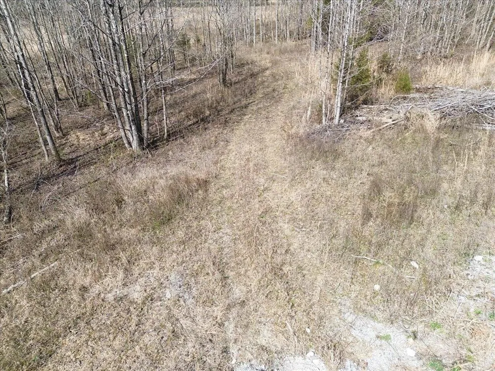 Francis Springs Road Whitwell, TN 37397